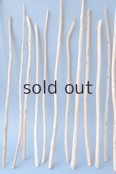 画像3: 棒流木セット (3)