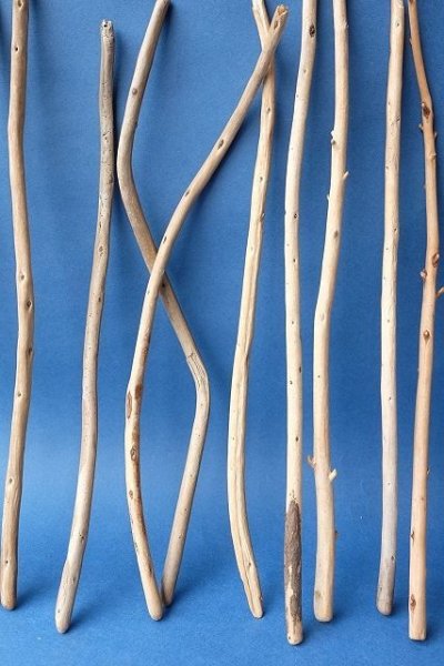 画像3: 棒流木セット (3)