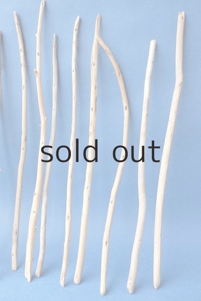 画像5: 棒流木セット (5)