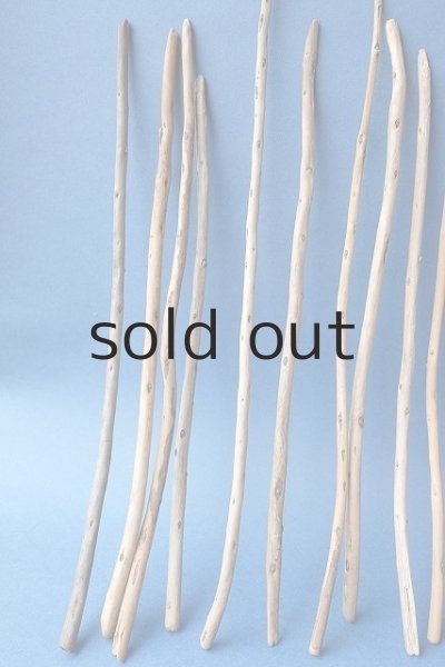 画像2: 棒流木セット (2)