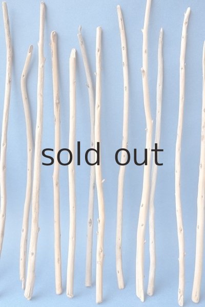 画像4: 棒流木セット (4)