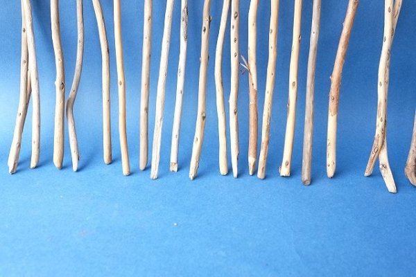 画像5: 棒流木セット (5)