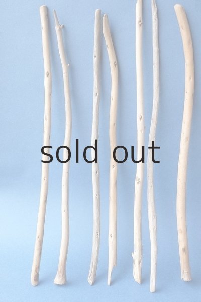 画像2: 棒流木セット (2)