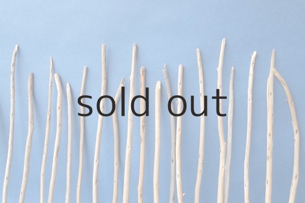 画像7: 棒流木セット (7)