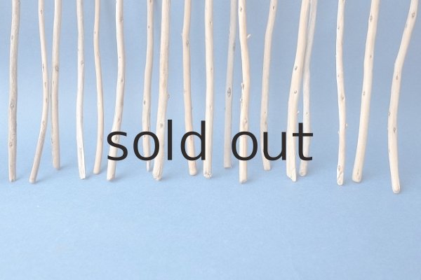 画像6: 棒流木セット (6)