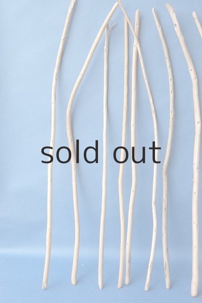 画像4: 棒流木セット (4)