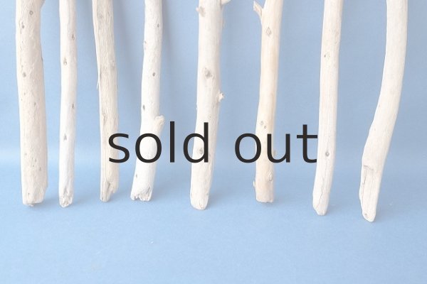 画像2: 棒流木セット (2)