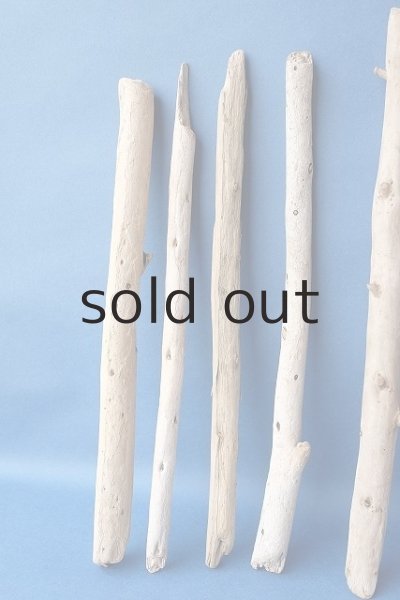 画像4: 棒流木セット (4)