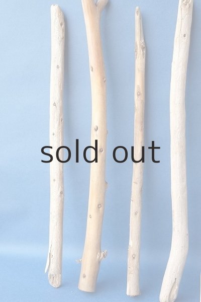 画像4: 棒流木セット (4)