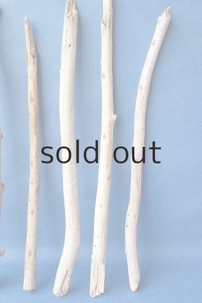 画像5: 棒流木セット (5)