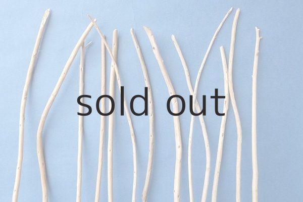 画像3: 棒流木セット (3)