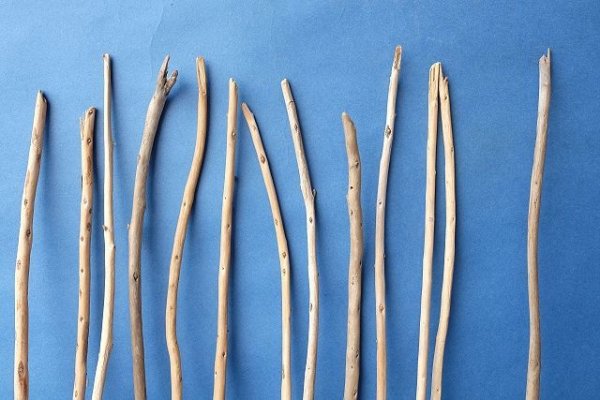 画像3: 棒流木セット (3)