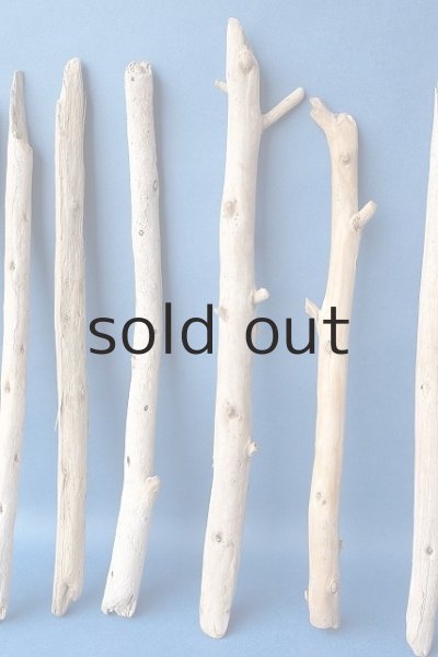 画像5: 棒流木セット (5)