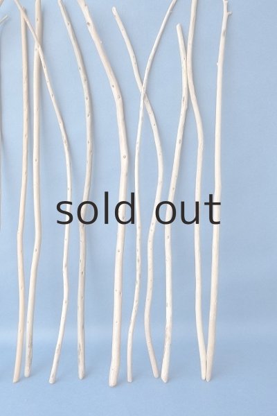 画像5: 棒流木セット (5)