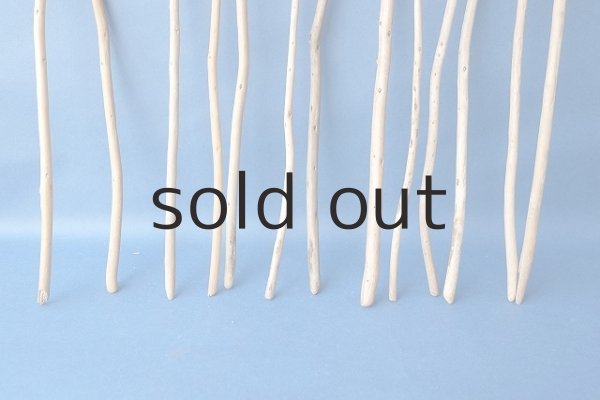 画像2: 棒流木セット (2)