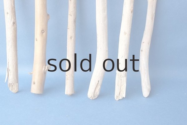 画像2: 棒流木セット (2)