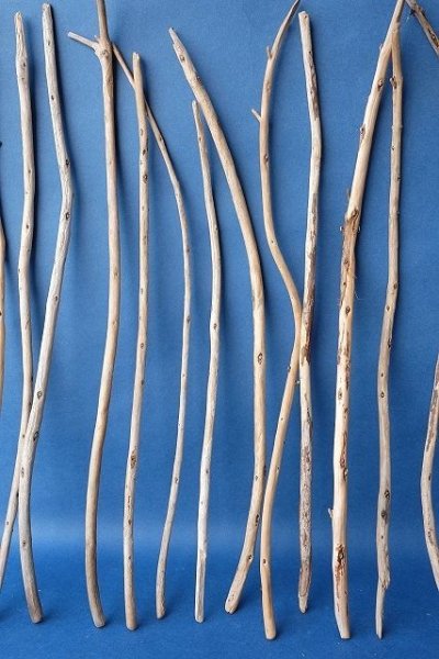 画像5: 棒流木セット (5)