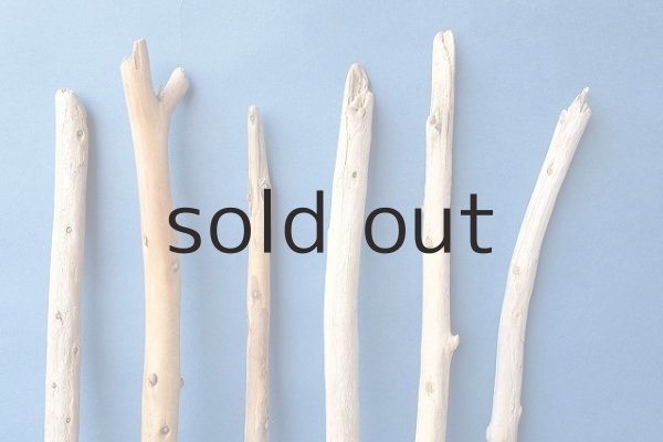 画像3: 棒流木セット (3)