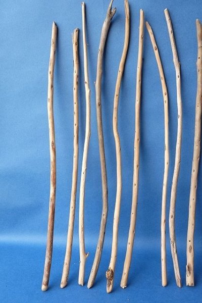 画像4: 棒流木セット (4)