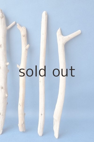 画像6: 棒流木セット (6)