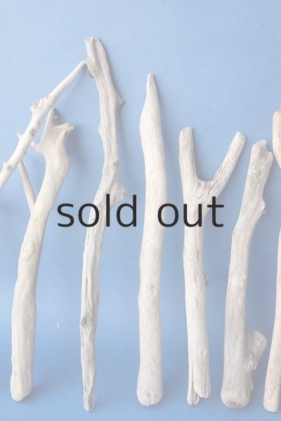 画像3: 小枝流木セット (3)