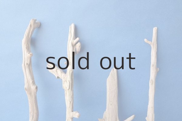 画像3: 小枝流木セット (3)