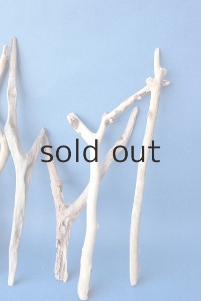 画像5: 小枝流木セット (5)