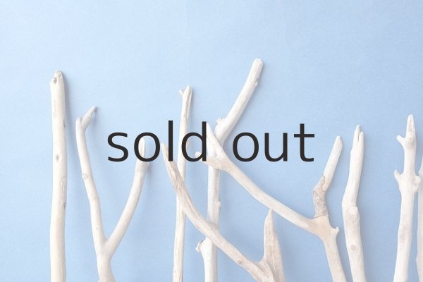 画像6: 小枝流木セット (6)