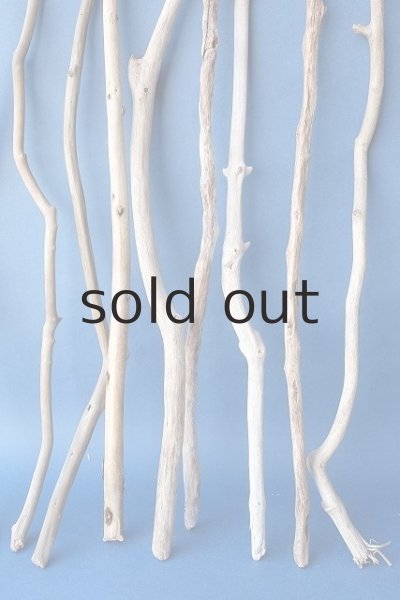 画像3: 小枝流木セット (3)