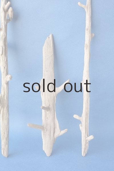 画像5: 小枝流木セット (5)