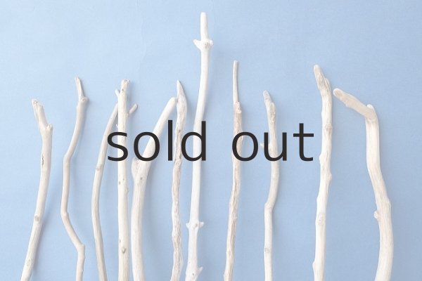 画像6: 小枝流木セット (6)