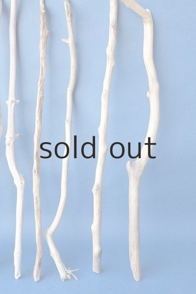 画像4: 小枝流木セット (4)