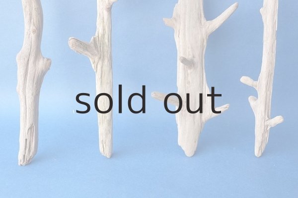 画像2: 小枝流木セット (2)