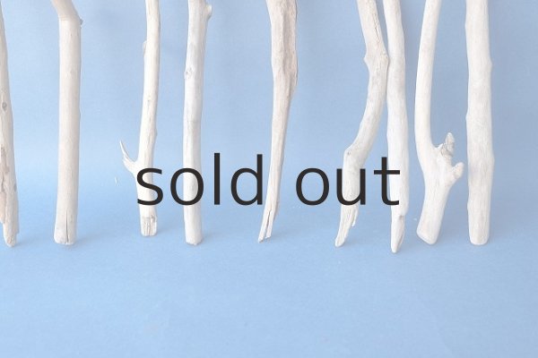 画像5: 小枝流木セット (5)