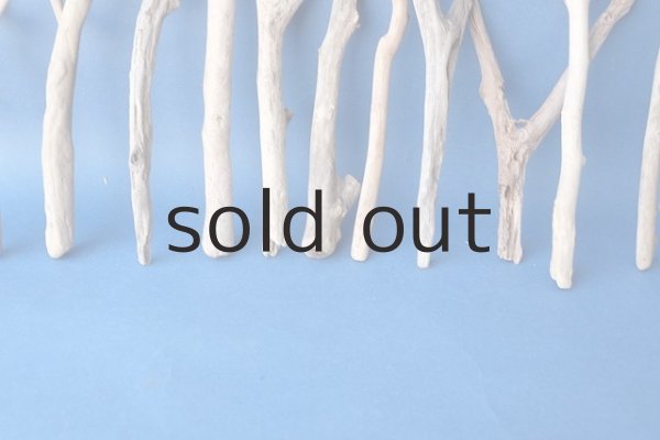 画像6: 小枝流木セット (6)