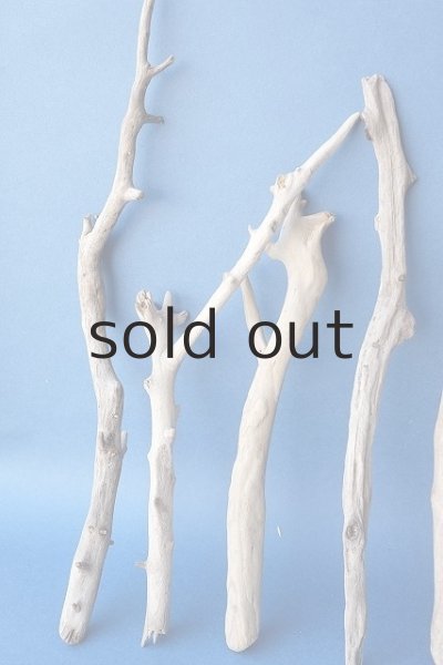 画像2: 小枝流木セット (2)