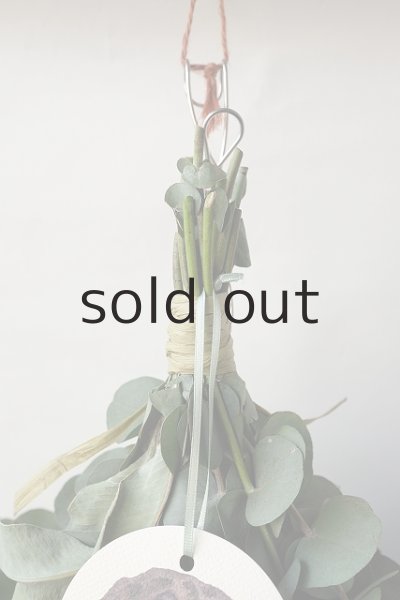 画像2: Dry plants for decor ユーカリ2種シンプルスワッグ (2)