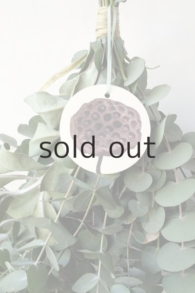 画像3: Dry plants for decor ユーカリ2種シンプルスワッグ (3)