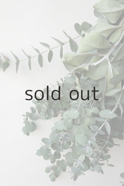 画像5: Dry plants for decor ユーカリ2種シンプルスワッグ (5)