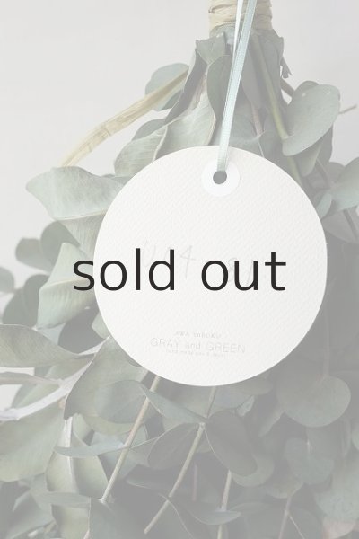 画像4: Dry plants for decor ユーカリ2種シンプルスワッグ (4)