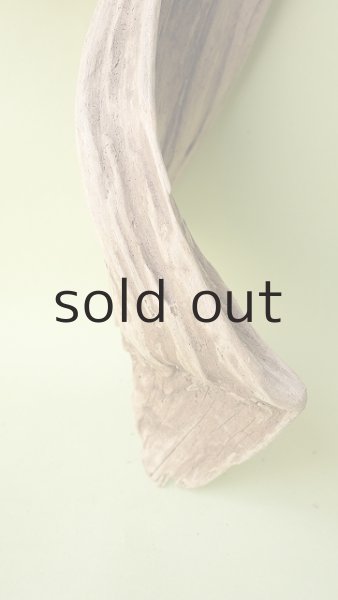 画像2: 変形流木 (2)