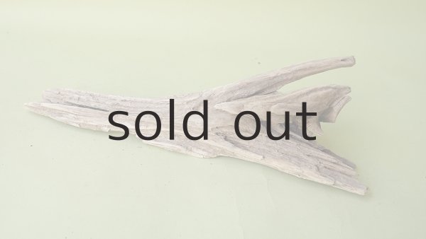 画像5: 変形流木 (5)