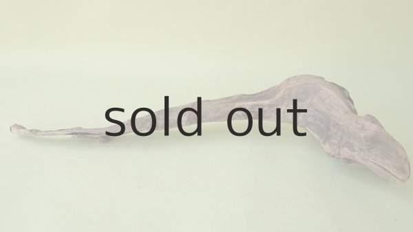 画像4: 変形流木 (4)