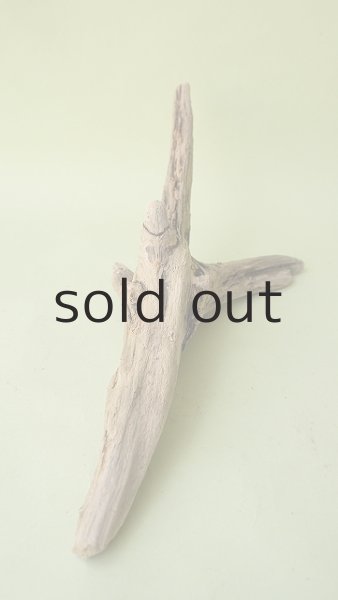 画像4: 変形流木 (4)