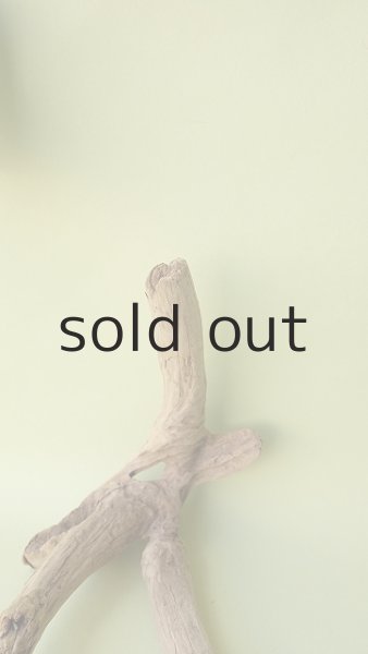 画像3: 変形流木 (3)