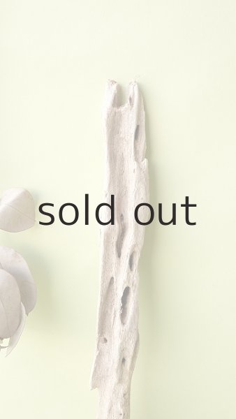 画像3: 変形流木 (3)