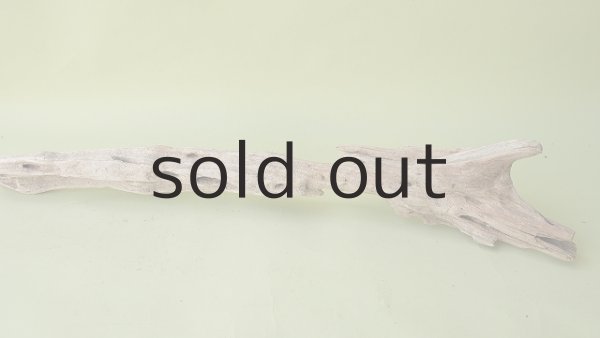 画像4: 変形流木 (4)