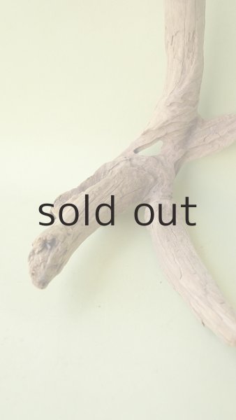 画像2: 変形流木 (2)