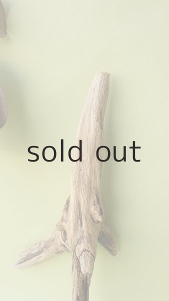 画像3: 変形流木 (3)