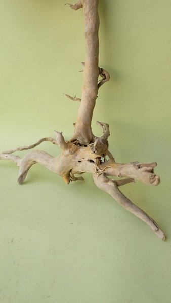 画像2: 流木根セット (2)